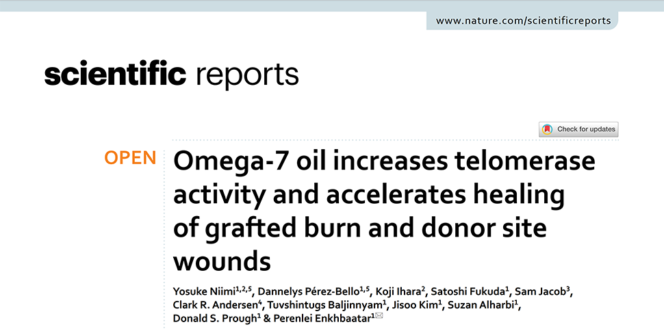 欧米茄-7 油能提高端粒酶活性，加速烧伤和供体部位移植伤口的愈合
