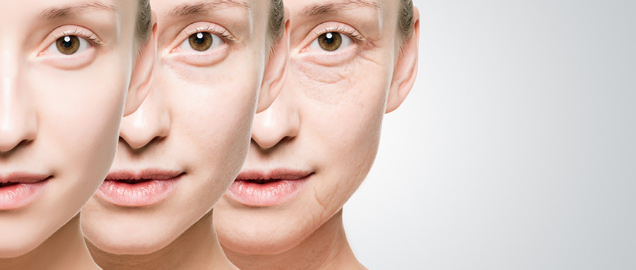 芦欣舒：衰老机制的探究