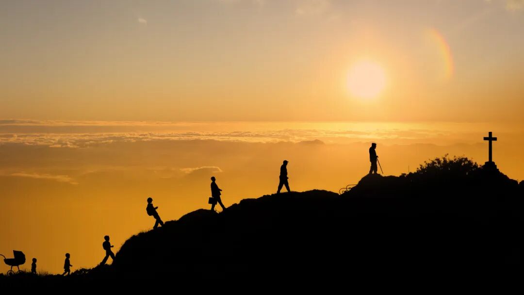 50岁开始断崖衰老，怎么办？